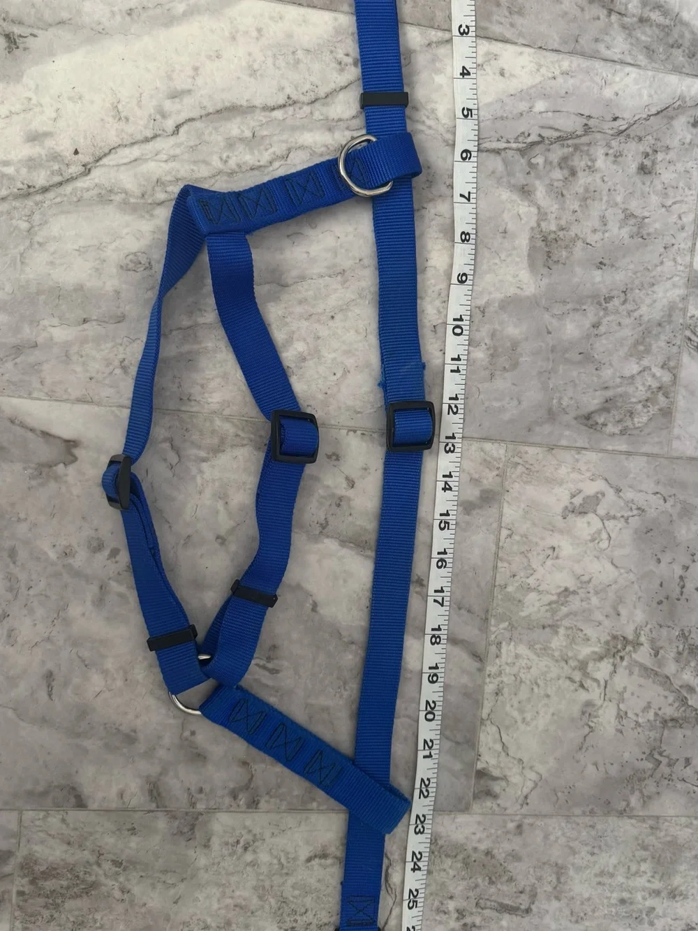 Royal Blue Adjustable Dog Harness